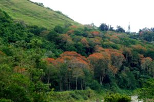 Balades sur les plages de la péninsule de Nicoya