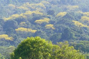 Le Norte: région enchanteresse de volcans et de forêts