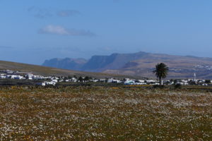 Lanzarote : la perle noire des îles Canaries