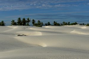 De plage en plage entre Recife et Salvador: la beauté des dunes de Mangue Sêco