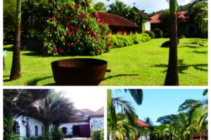Drôles « d’habitations » en Martinique